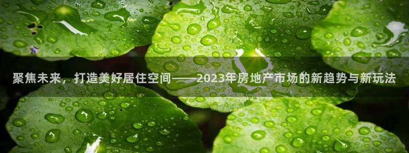 菲律宾新宝5老板：聚焦未来，打造美好居住空间——2023年房