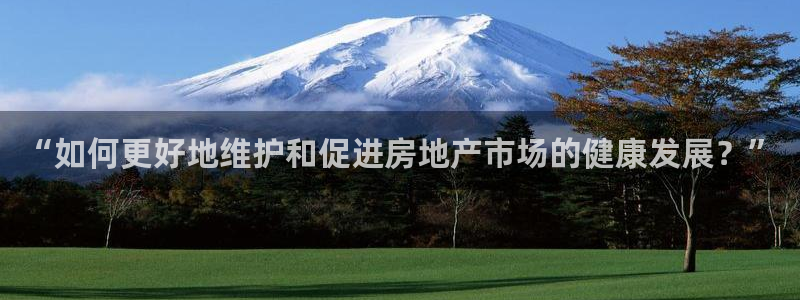 新宝5线路登录检测：“如何更好地维护和促进房地产市场的健康发