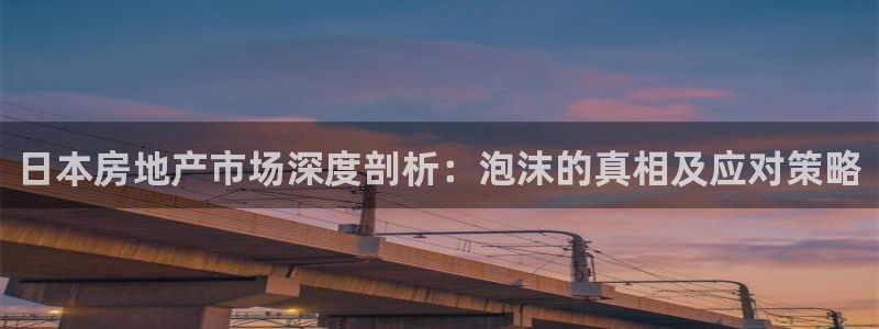 新宝5如何注册登录：日本房地产市场深度剖析：泡沫的真相及应对