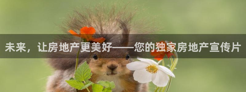 新宝5褚32OO59：未来，让房地产更美好——您的独家房地产