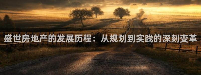 新宝5登录平台：盛世房地产的发展历程：从规划到实践的深刻变革