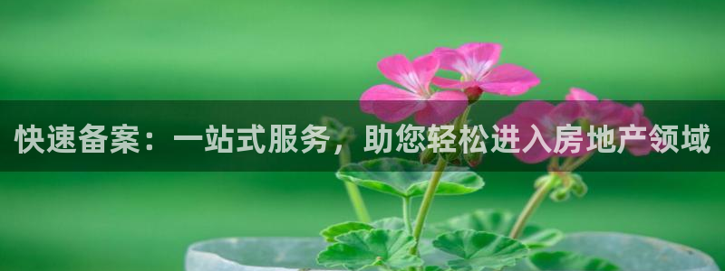 新宝那2O5O5O：快速备案：一站式服务，助您轻松进入房地产