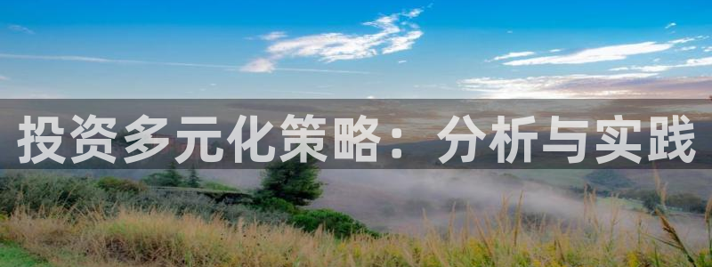 新宝5娱乐登陆：投资多元化策略：分析与实践