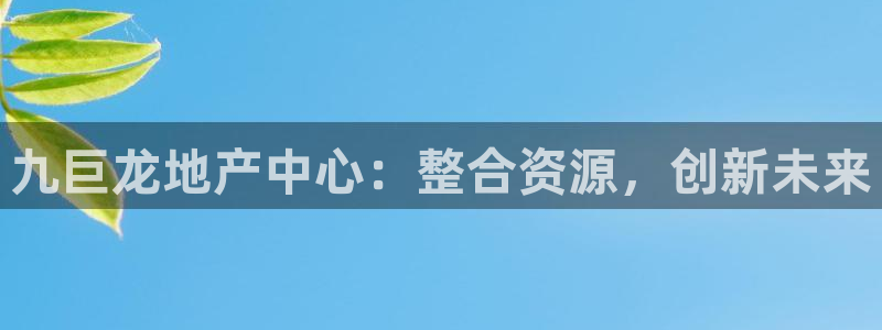 新宝5注册平台：九巨龙地产中心：整合资源，创新未来