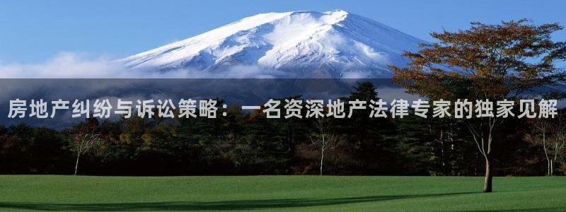 新宝5平台注册资金：房地产纠纷与诉讼策略：一名资深地产法律专