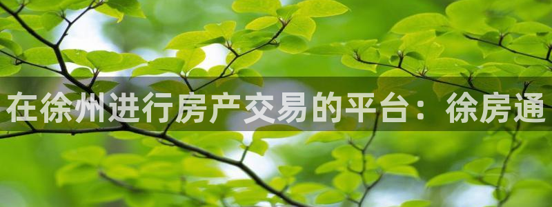新宝5手机平台登陆：在徐州进行房产交易的平台：徐房通