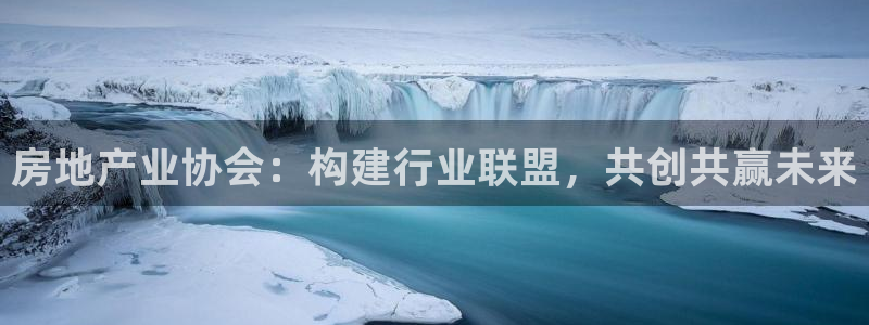 新宝5 测速：房地产业协会：构建行业联盟，共创共赢未来