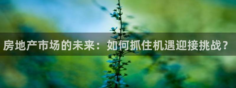 新宝5测速：房地产市场的未来：如何抓住机遇迎接挑战？