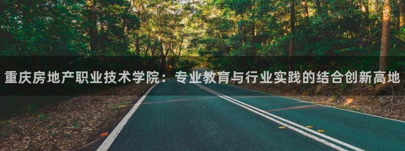 新宝5现在还能玩吗：重庆房地产职业技术学院：专业教育与行业实