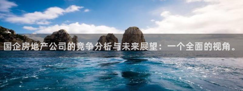 新宝5黑：国企房地产公司的竞争分析与未来展望：一个全面的视角