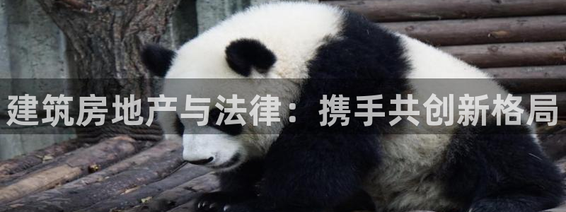 新宝5玩法：建筑房地产与法律：携手共创新格局