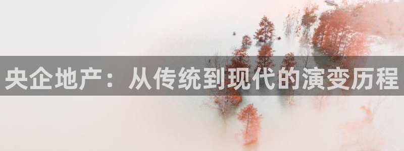 新宝5巅峰：央企地产：从传统到现代的演变历程