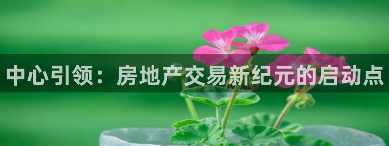 新宝5总代：中心引领：房地产交易新纪元的启动点