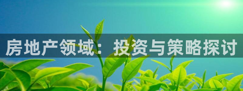 新宝5是什么：房地产领域：投资与策略探讨