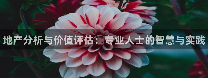 新宝5官网app：地产分析与价值评估：专业人士的智慧与实践