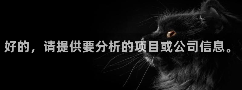 新宝5测试：好的，请提供要分析的项目或公司信息。