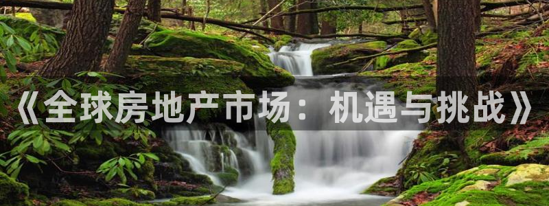 新宝5娱乐网址：《全球房地产市场：机遇与挑战》