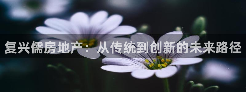 新宝5 - 测速登陆：复兴儒房地产：从传统到创新的未来路径