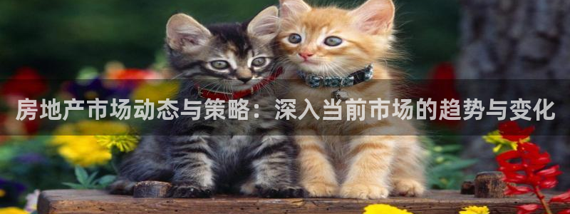 新宝5平台咋样