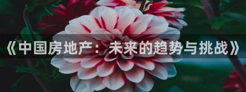 有人知道新宝5么：《中国房地产：未来的趋势与挑战》