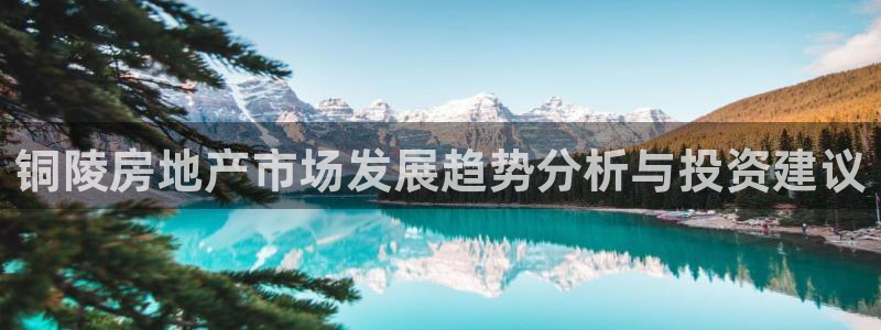 新宝5_测：铜陵房地产市场发展趋势分析与投资建议