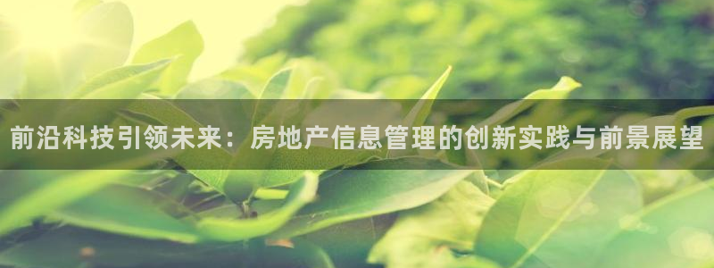 新宝5官网霸：前沿科技引领未来：房地产信息管理的创新实践与前
