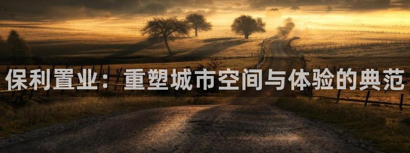新宝5官网霸：保利置业：重塑城市空间与体验的典范
