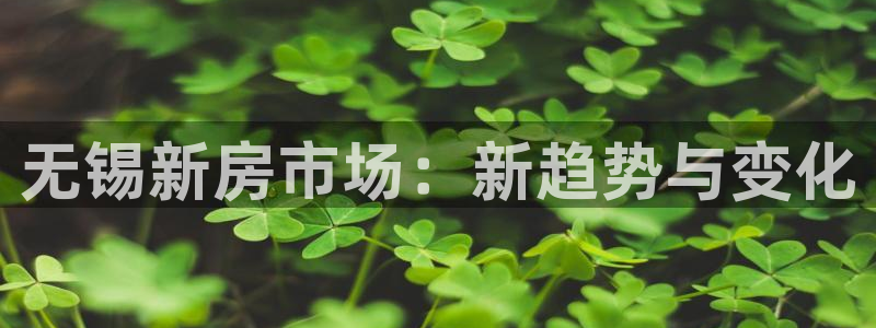 新宝5登录测速中心：无锡新房市场：新趋势与变化