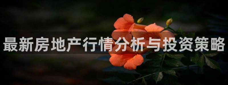 新宝5下载注册：最新房地产行情分析与投资策略