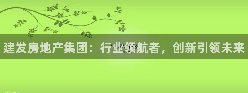 新宝b2O5O5O：建发房地产集团：行业领航者，创新引领未来