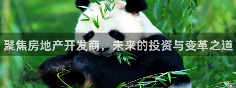 新宝5下载：聚焦房地产开发商，未来的投资与变革之道