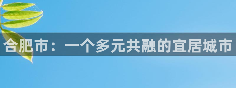 新宝5测试：合肥市：一个多元共融的宜居城市