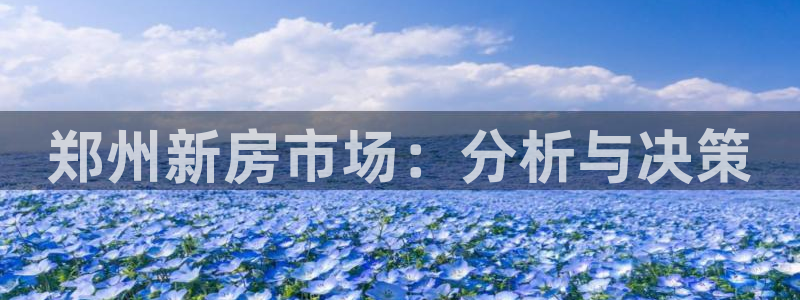 新宝5娱乐学：郑州新房市场：分析与决策