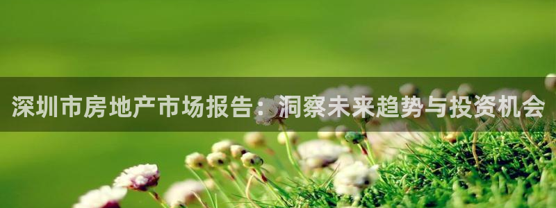 新宝5手机测速：深圳市房地产市场报告：洞察未来趋势与投资机会