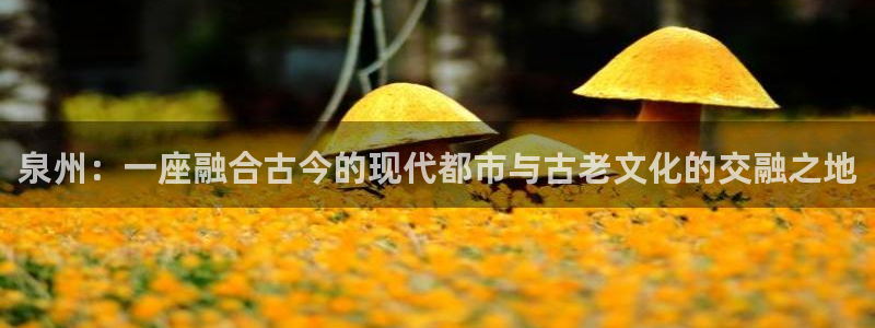 新宝5尤74OOO5：泉州：一座融合古今的现代都市与古老文化