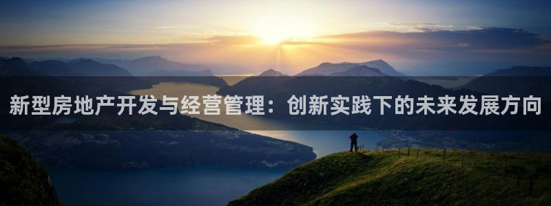新宝m2O5O5O：新型房地产开发与经营管理：创新实践下的未