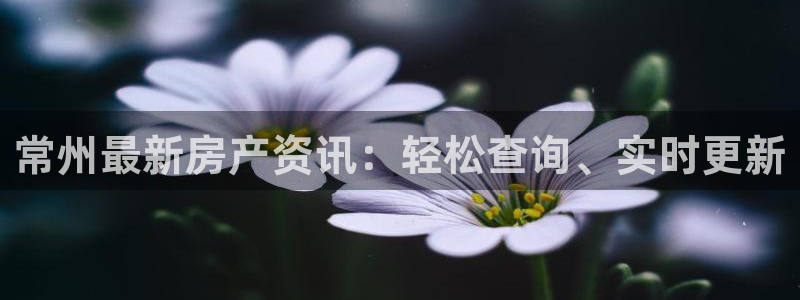新宝5娱乐招商