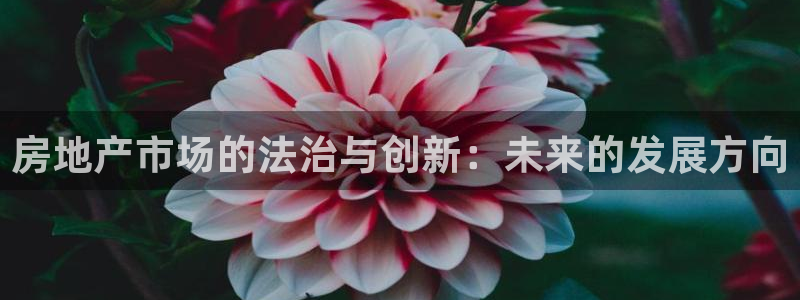 新宝5-：房地产市场的法治与创新：未来的发展方向