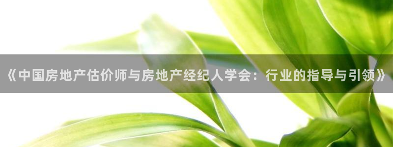 新宝5测速线路：《中国房地产估价师与房地产经纪人学会：行业的