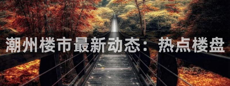 新宝b2O5O5O：潮州楼市最新动态：热点楼盘