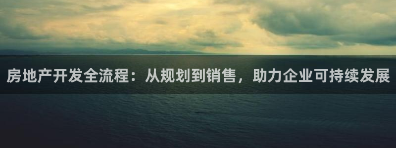 新宝5线路登录：房地产开发全流程：从规划到销售，助力企业可持