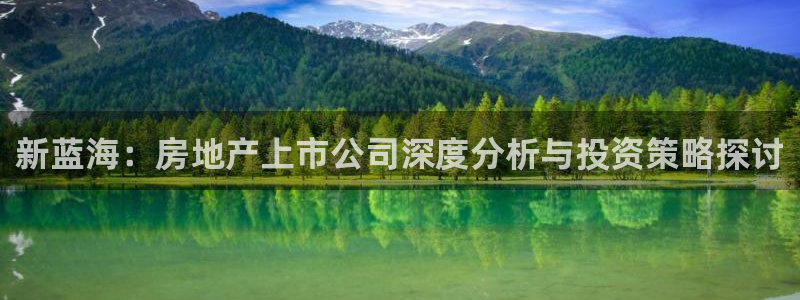 新宝股东王听2 5 5：新蓝海：房地产上市公司深度分析与投资