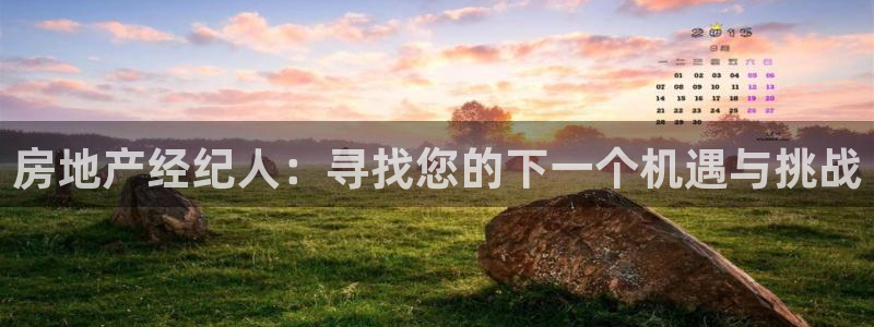 新宝5登录不了：房地产经纪人：寻找您的下一个机遇与挑战