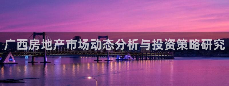 新宝j2O5O5O：广西房地产市场动态分析与投资策略研究