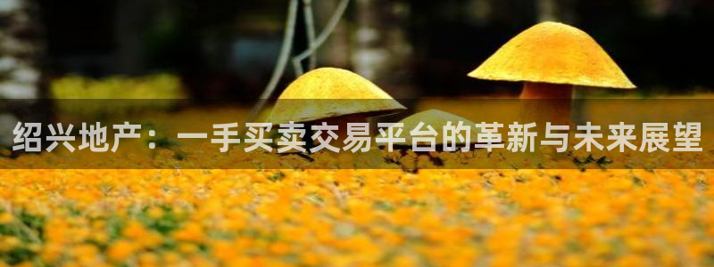 新宝b2O5O5O：绍兴地产：一手买卖交易平台的革新与未来展