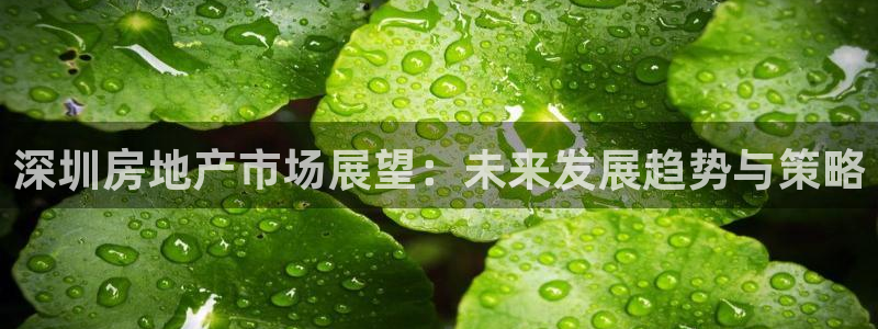 新宝5平台登录下载软件：深圳房地产市场展望：未来发展趋势与策