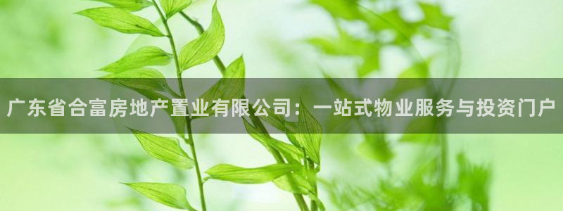 新宝5口67五壹叁八：广东省合富房地产置业有限公司：一站式物