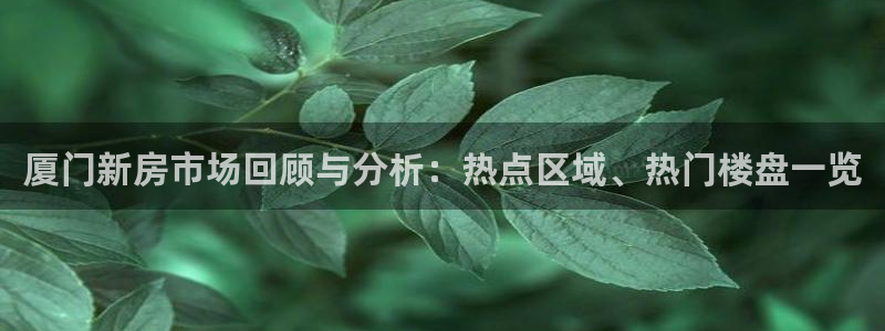 新宝5秒开：厦门新房市场回顾与分析：热点区域、热门楼盘一览