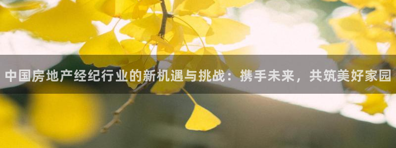 新宝5测速在线：中国房地产经纪行业的新机遇与挑战：携手未来，
