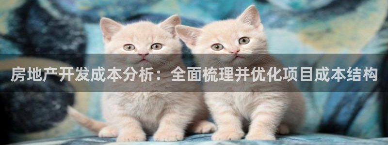 新宝5网址：房地产开发成本分析：全面梳理并优化项目成本结构